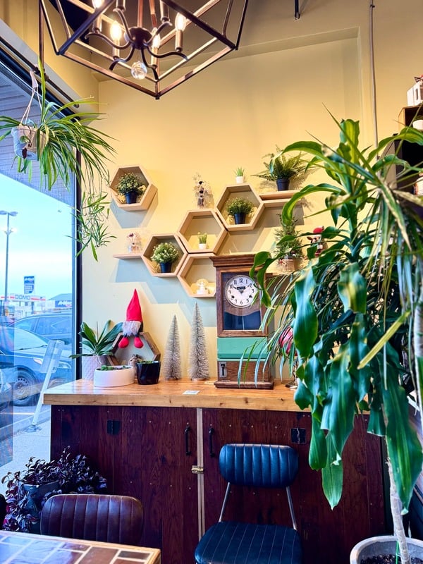 Urban Plant Café interior